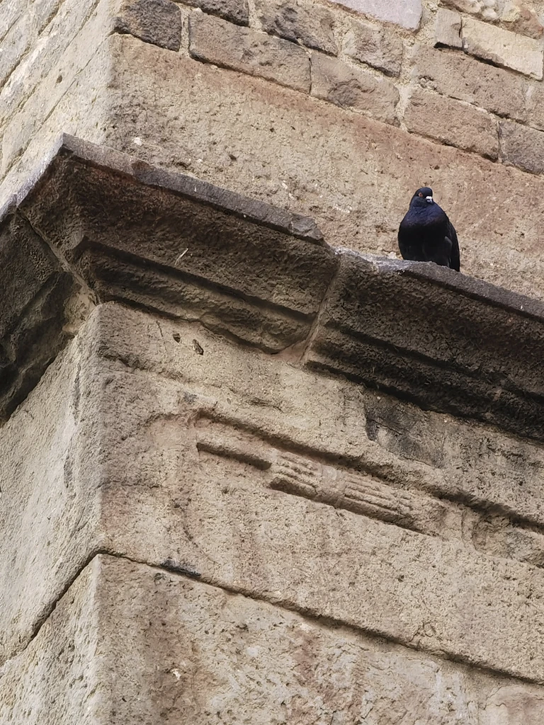 Barcelona Architecture Walks Roman Route