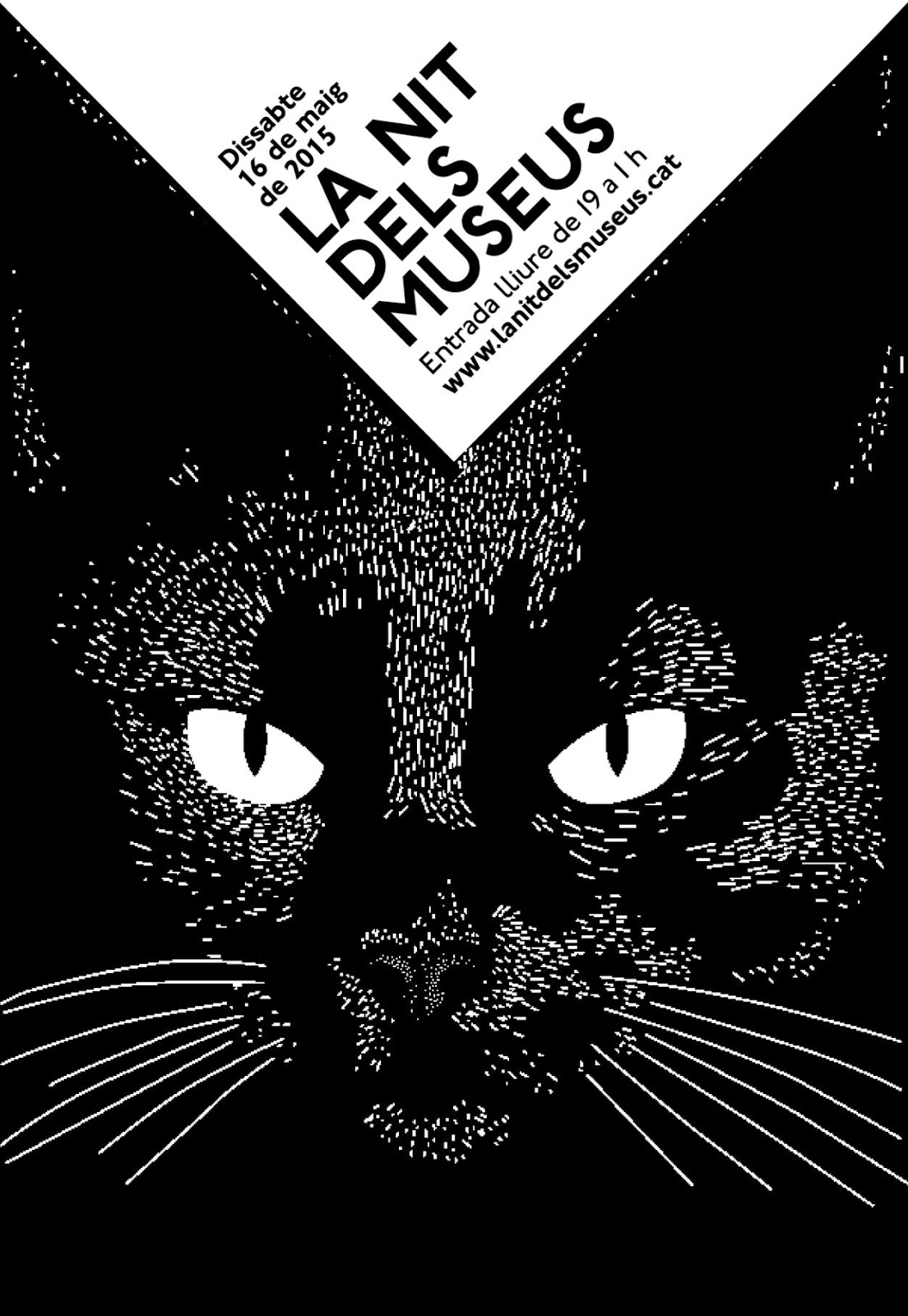 La Nit dels Museus 2015